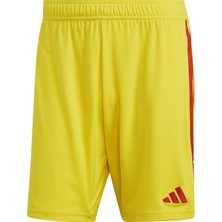 adidas Tiro 23 Sho  Erkek Futbol Antrenman Şortu IB8091 Sarı