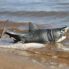 Bai Jiaying Köpekbalığı Aksiyon Figürü Megalodon Modeli Bilişsel Oyuncaklar Gerçekçi Erkekler Ve Kızlar (Yurt Dışından)