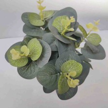 Cennet Home Mini Okaliptüs Doğal Dokulu Masaüstü Dekoratif Yapay Çiçek Plastik Beyaz Saksıda