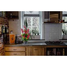 Cennet Home Lüks Kokina Bitkisi Yılbaşı Çiçeği Siyah Plastik Saksıda Masaüstü Yapay Çiçek 45 Cm.