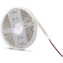 Noas 12 Volt Dış Mekan Şerit LED Beyaz Işık YL40-4101 - 5 Metre