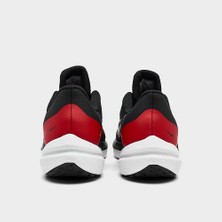 Nike DD6203-003 Air Winflo 9 Erkek Koşu Ayakkabısı