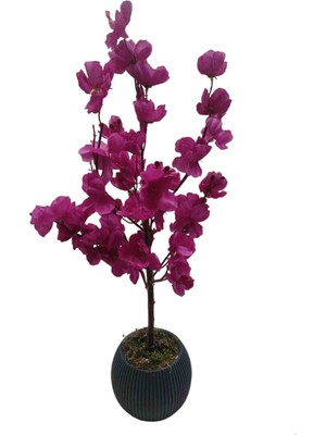 Cennet Home Minik Bahardalı Ağacı Masaüstü Balkon Çiçeği Hediyelik Yapay Çiçek