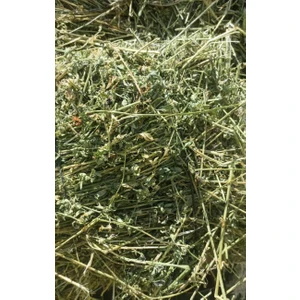 Güven Yonca Kuru Yonca Kemirgen Otu Yeşil Çiçekli 1 kg Paket