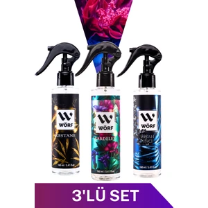 Wörf Oda Araç Ortam Kokusu Kardelen, Siyah Inci, Kestane 160 ml