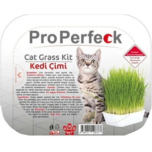 Pro Perfeck Kedi Çimi