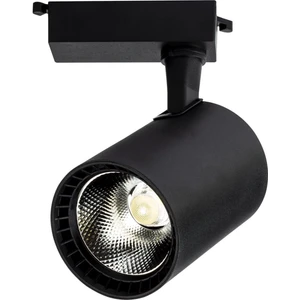 30W Paris Siyah Kasa Ray Spot Beyaz Işık YL29-3101