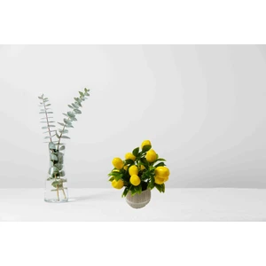 Cennet Home Saksıda Mini Limon Masaüstü Mutfak Dekoratif Yapay Çiçek