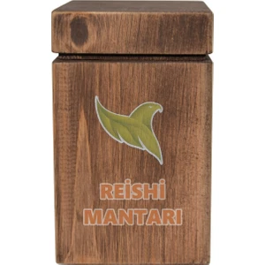 Reishi Mantarı 100GR