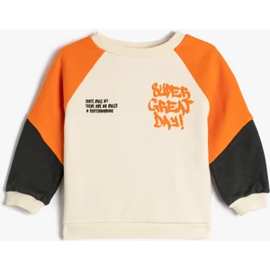 Sweatshirt Renk Bloklu Uzun Kollu Bisiklet Yaka Dokulu