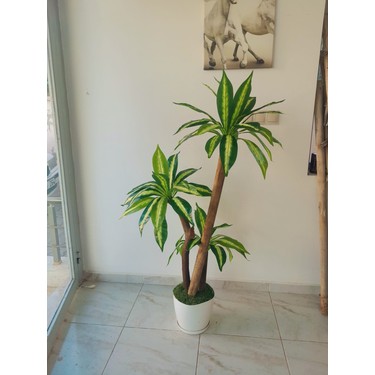 Yeşilada Yapay Yuka Ağacı 3 Gövdeli Geniş Kılıç Yaprak Yucca Fiyatı