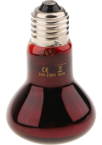 Sürüngen Kaplumbağa Amfibi Cam Gece Işığı Kızılötesi Işık E27 Isı Lambası 60w (Yurt Dışından)
