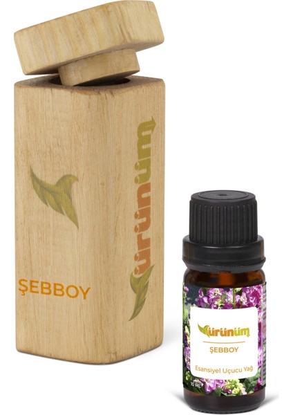 Şebboy 10ML