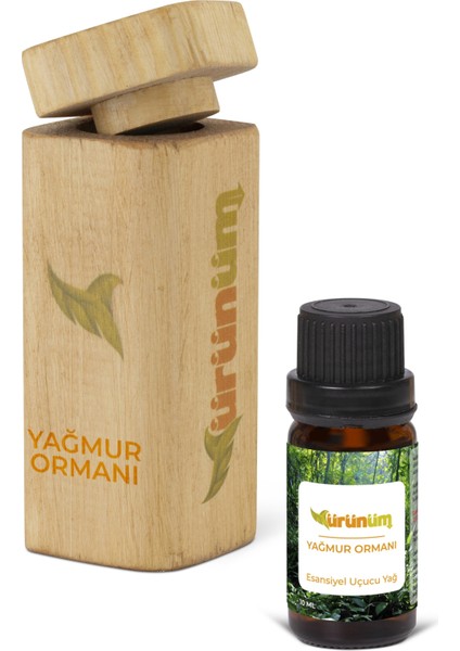 Yağmur Ormanları 10ML