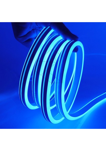 20 Metre 220 Volt Mavi Neon Led Tak Çalıştır 8x16mm Esnek Hortum Led Suya Dayanıklı Şerit Aydınlatma