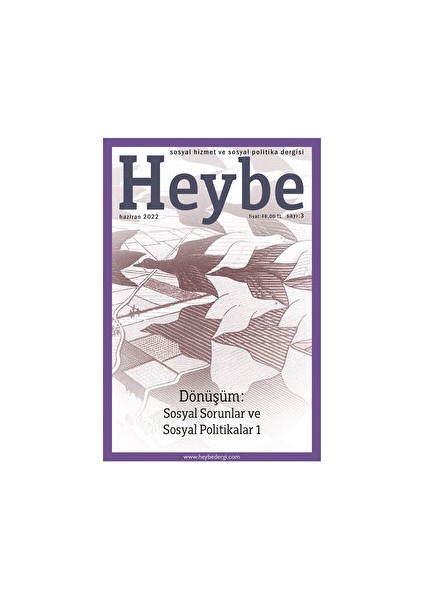 Heybe Sosyal Hizmet Ve Sosyal Politika Dergisi Sayı: 3 Ağustos 2022