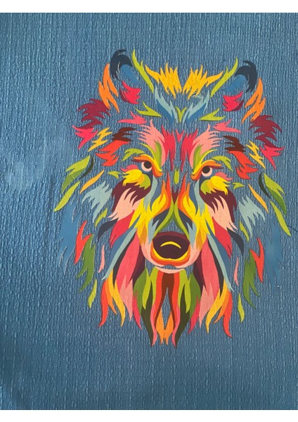 1. Kalite Ütü Ile Yapışan Transfer Baskı Aplike Tişört Kot Baskı