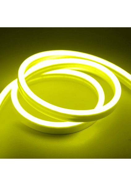220 Volt Neon LED Tak Çalıştır Esnek Şerit Neon LED Aydınlatma 8X16 mm Hortum LED