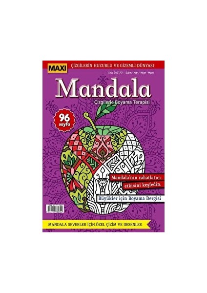 Maxi Mandala Çizgilerle Boyama Terapisi 3