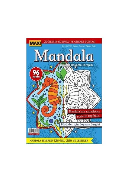 Maxi Mandala Çizgilerle Boyama Terapisi 4
