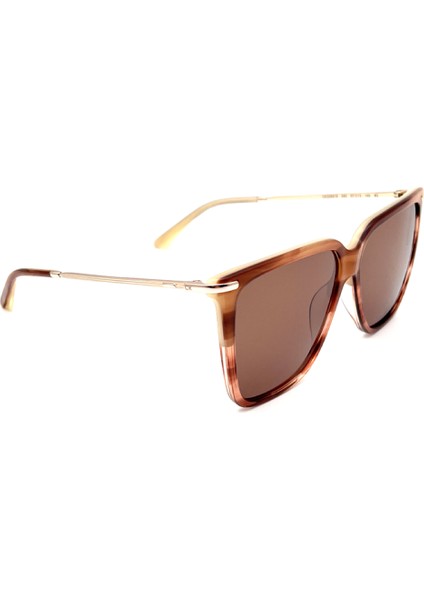 CK22531S 240 Kadın Güneş Gözlüğü
