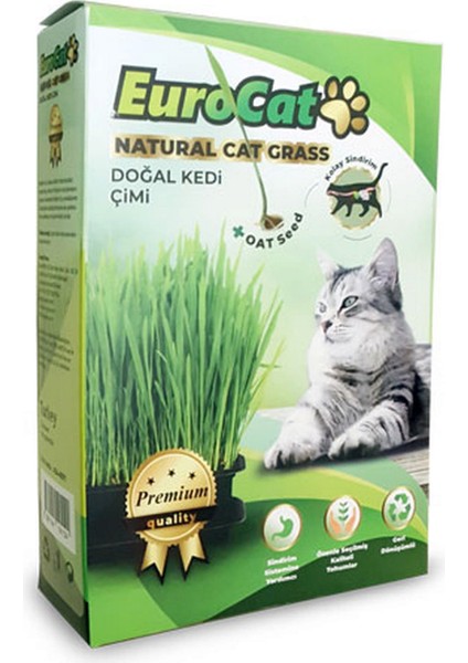 Premium Class Kedi Çimi Nrmsa