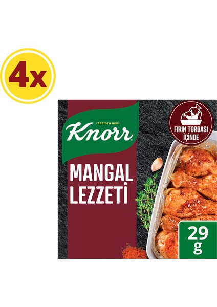 Mangal Lezzeti Çeşnile Fırınla 29 G X4