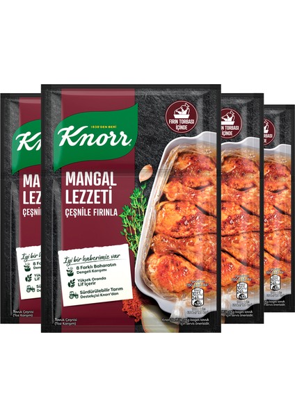 Mangal Lezzeti Çeşnile Fırınla 29 G X4 fiyatları