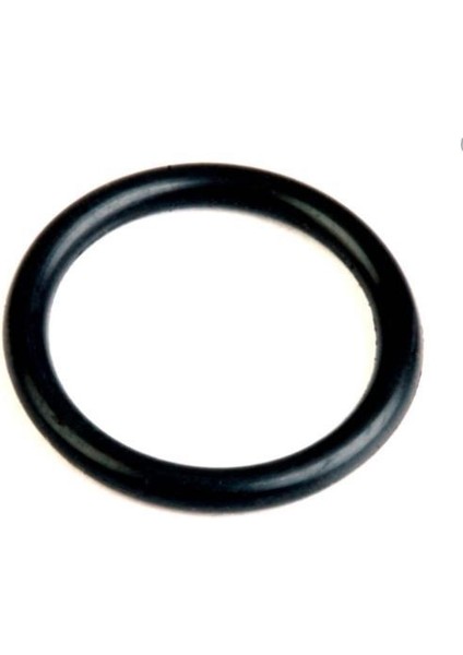 O Ring