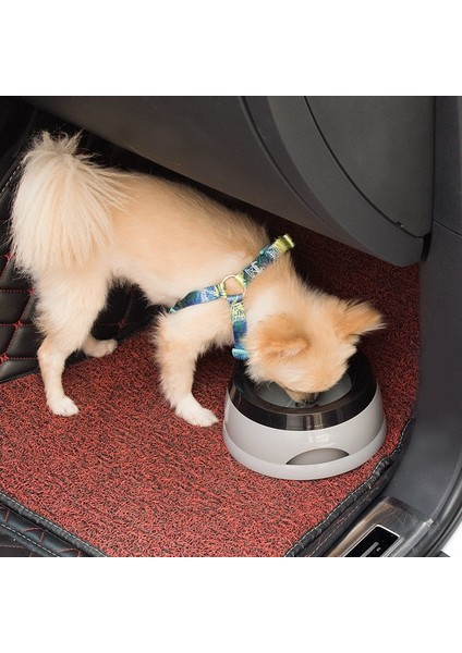 Araba Kasesi Kaymaz Sıçramaz Islak Olmayan Ağız Dökülmez Köpek Kasesi Kedi Kasesi (Yurt Dışından) fiyatları