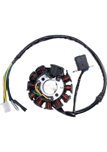 Scooter Motoru 11 Kutuplu Ateşleme Bobini (Yurt Dışından)