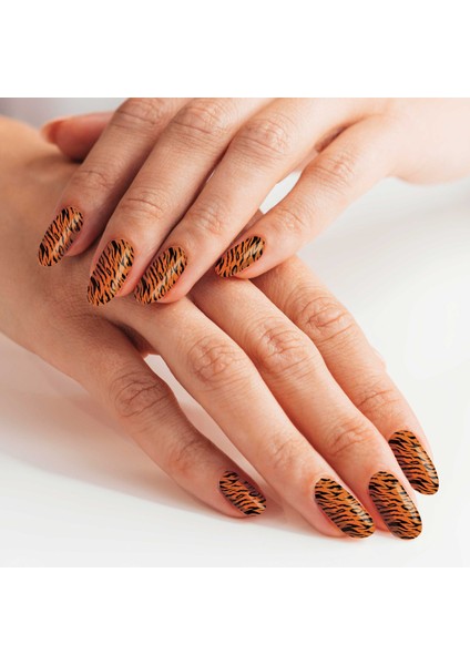 2' Li Renkli Zebra Tırnak Dövmesi, Tırnak Sticker, Nail Tattoo, Nail Art