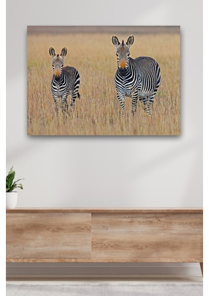 Zebra Kanvas Dekoratif Duvar Tablosu