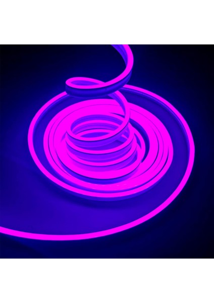 3 Metre 220 Volt Mor Neon Led Tak Çalıştır 8x16mm Esnek Hortum Led Suya Dayanıklı Şerit Aydınlatma