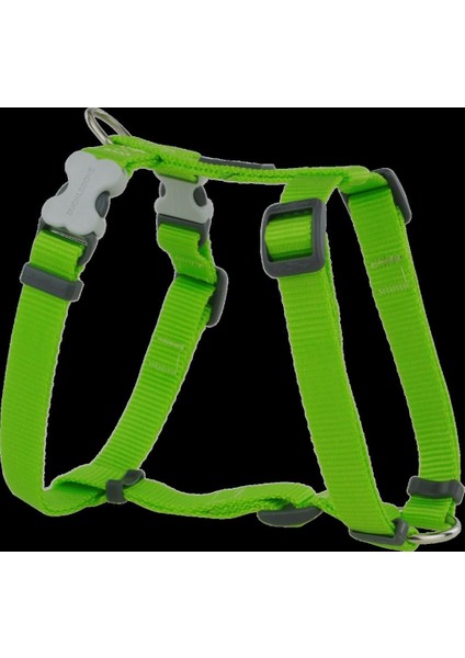 Reddingo Klasik Lime Göğüs Tasması Xs / 12MM