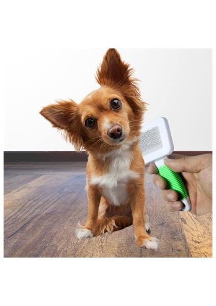 Buffer Kedi Köpek Telli Küçük Boy Tüy Bakım Seti Evcil Hayvan Tarama Fırçası indirimleri