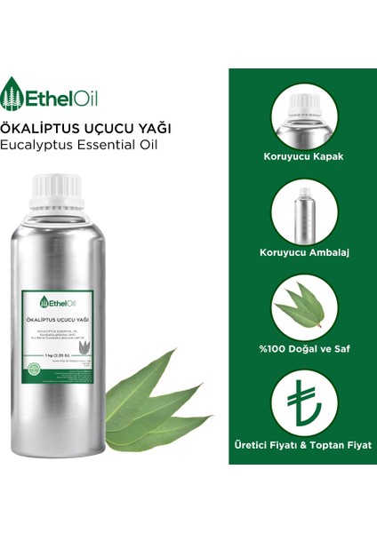 Ökaliptus Uçucu Yağı - Etheloil - 1 kg - %100 Saf ve Doğal Uçucu Yağ -Üretici Firma, Yüksek Kalite, Toptan Satış - Eucalyptus Essential Oil - Eucalyptus Globulus Labill.