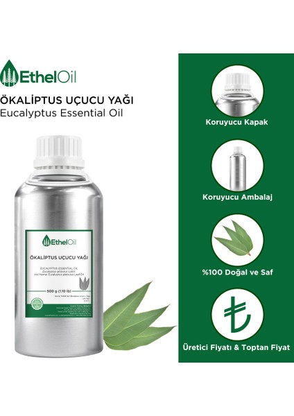 Ökaliptus Uçucu Yağı - Etheloil - 500 gr - ve Uçucu Yağ -Üretici Firma, , Toptan Satış - Eucalyptus Essential Oil - Eucalyptus Globulus Labill