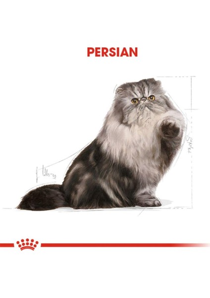 Persian Iran Kedilerine Özel Kedi Konservesi 85 gr