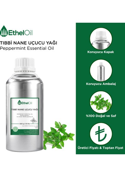Nane (Tıbbi) Uçucu Yağı - Etheloil - 500 GR - Saf ve Doğal Uçucu Yağ - Üretici Firma fiyatları