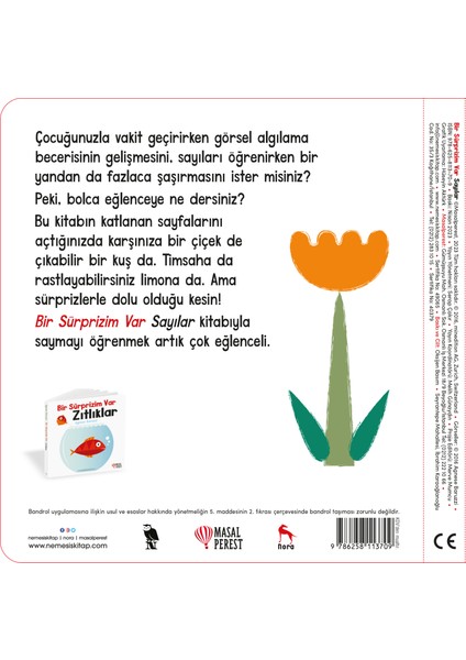 Bir Sürprizim Var  Sayılar -Hareketli Kitap - Agnese Baruzzi