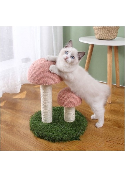 Evcil Hayvan Malzemeleri Kedi Tırmanma Çerçevesi (Yurt Dışından) modelleri