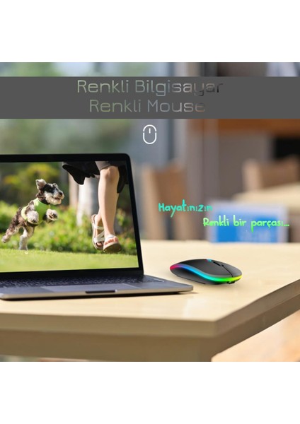 Daily Link Dailylink Rgb Wireless Bluetooth Kablosuz Optik Mouse Şarj Edilebilir USB Mouse Fare Gamer Bilgisayar Pc Dizüstü iPad