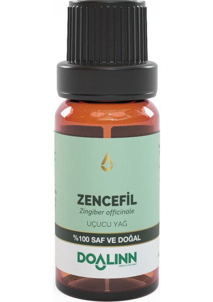Zencefil Uçucu Yağı 10 ml