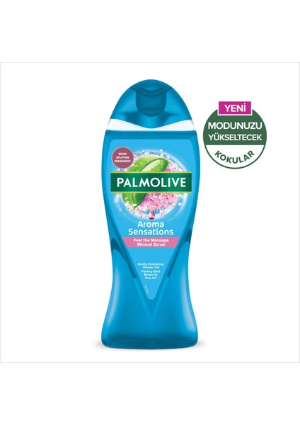 Duş Jeli Feel The Massage 500ML