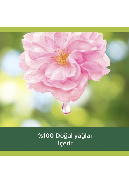 Duş Jeli Feel The Massage 500ML
