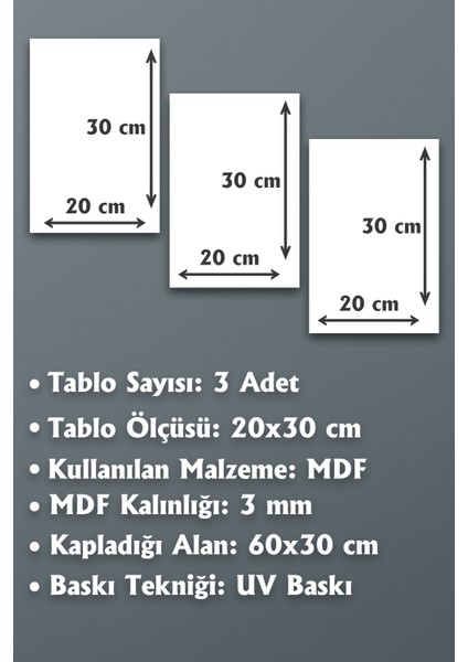 Çerçeve Baskılı Dekoratif 3lü Ahşap Tablo Seti 3mm Mdf 3 Adet 20X30 cm 20X30MBT024-TEK Ebat fiyatları