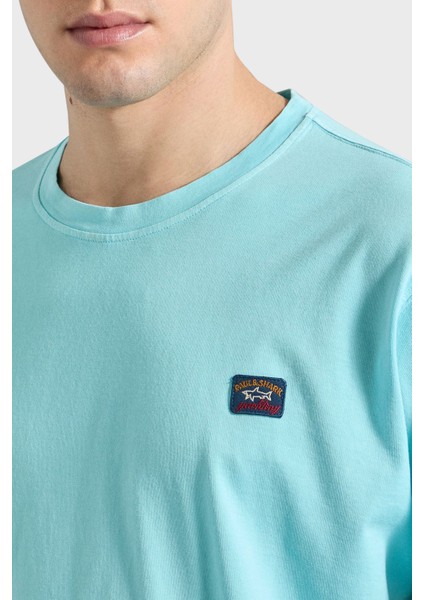 Bisiklet Yaka Pamuk Regular Fit T Shirt Erkek 23411052 291