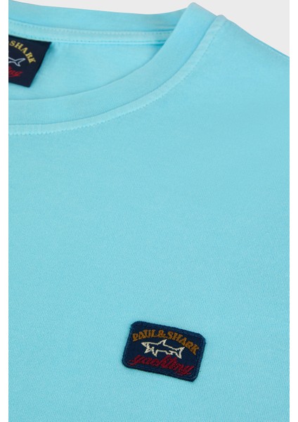 Bisiklet Yaka Pamuk Regular Fit T Shirt Erkek 23411052 291