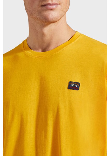 Bisiklet Yaka Pamuk Regular Fit T Shirt Erkek 23411052 043